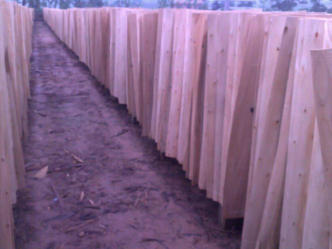 һ��(j��)��ľ�ΰ��Ԕ��(x��)��B