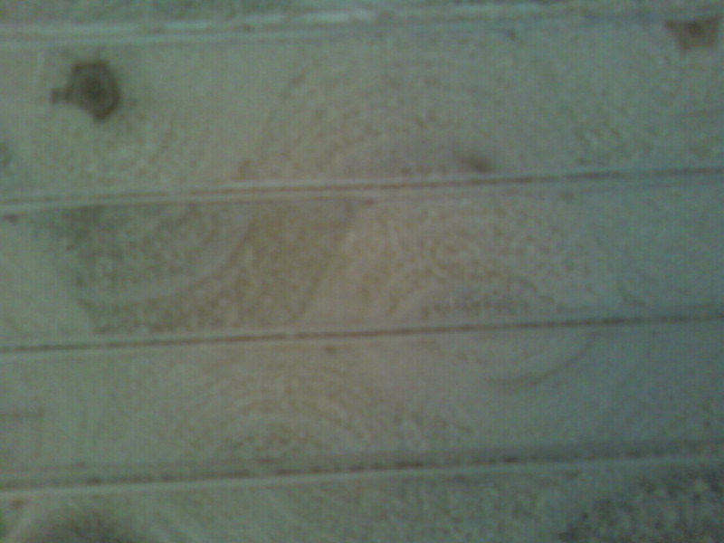 �c(di��n)���鿴��ľ���ΰ�Ŵ�DƬ