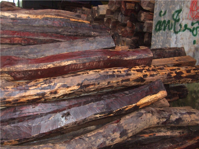 �ϓ�t��֦��Ԕ��(x��)��B