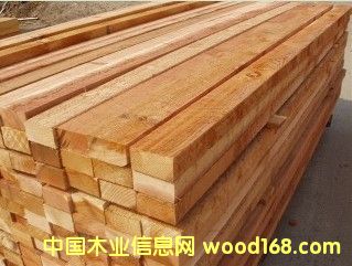 �tѩ�ɹ��S�ӹ���ĵ�Ԕ����B