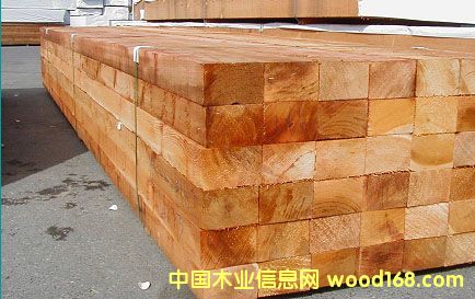 �����������--�tѩ�ɰ��