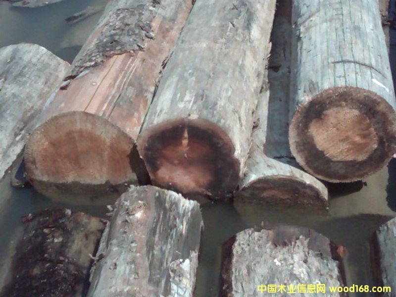 ������ԭľ