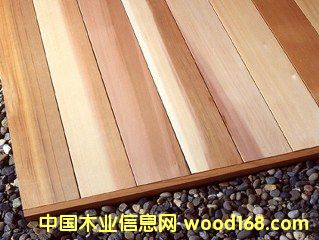 ���⽨�Įa(ch��n)Ʒ--�҃�(n��i)������