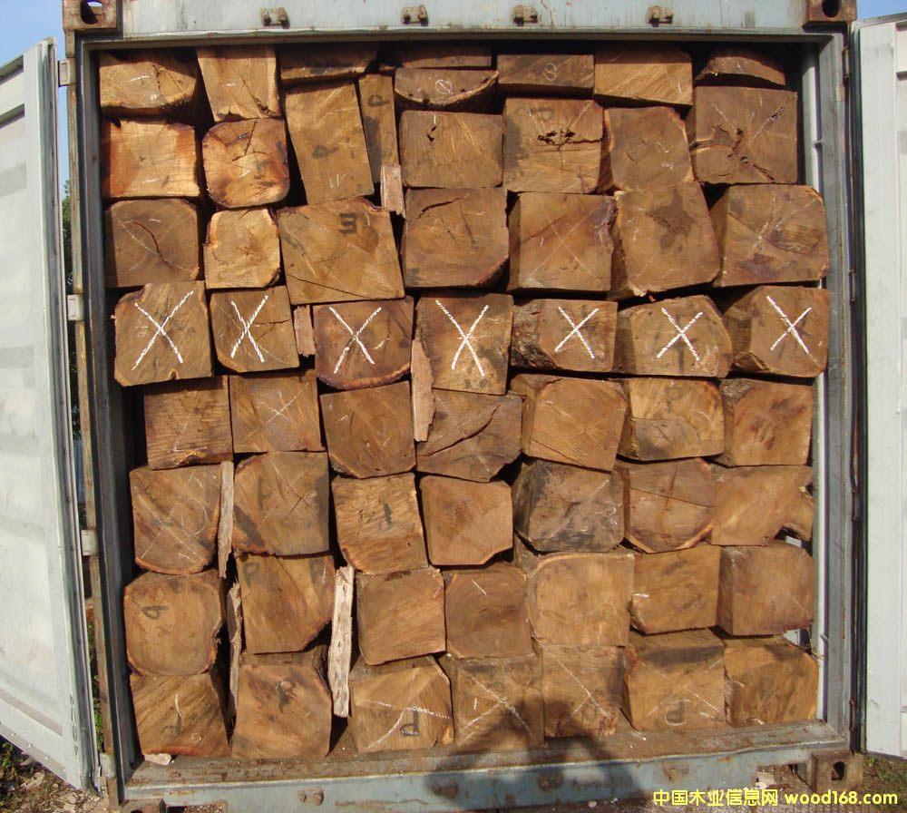 �����S�����Ԕ��(x��)��B