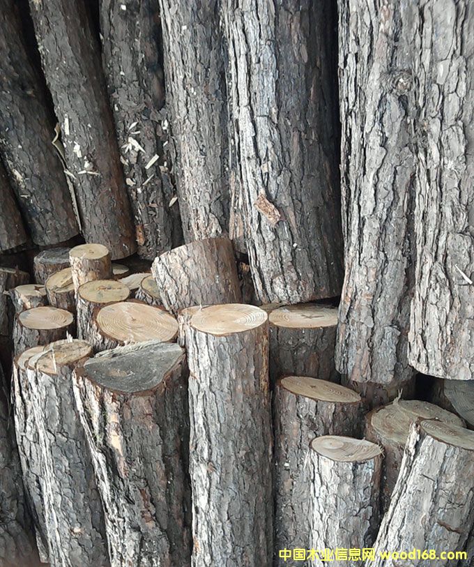 ��ľ��Ԕ����B