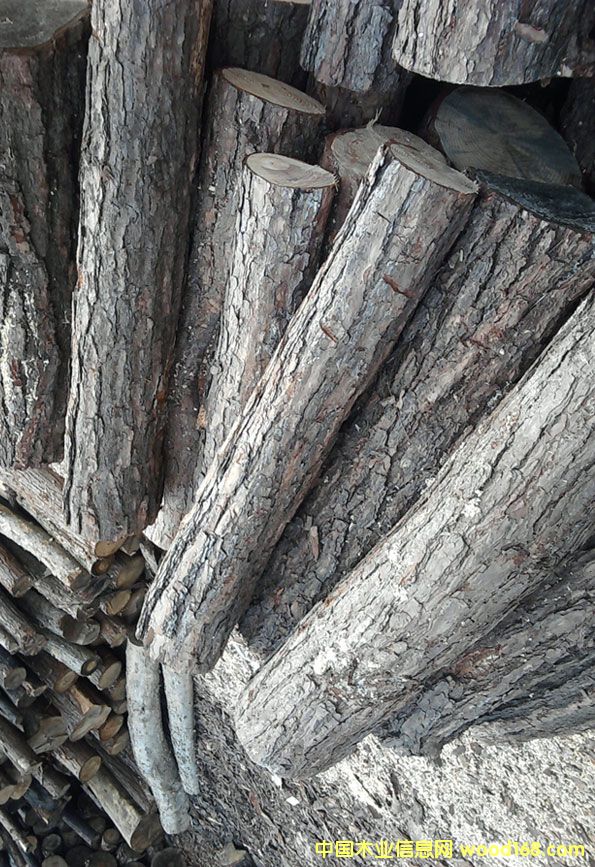 ��ľ��Ԕ����B