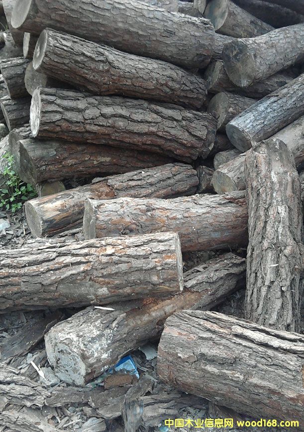 ��ľ��Ԕ����B