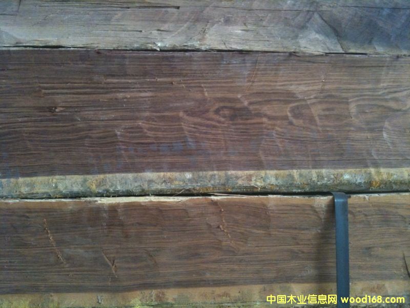 �S�����Ԕ��(x��)��B