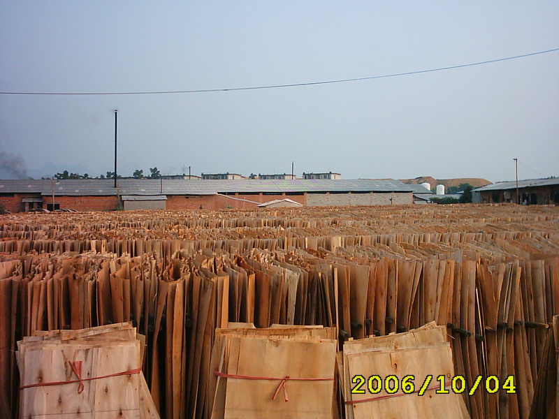  ��ľ�ΰ��Ԕ����B