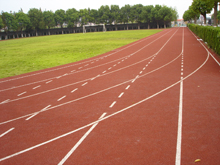 ��ȫ�؉|���؉|�S���T�d�؉|