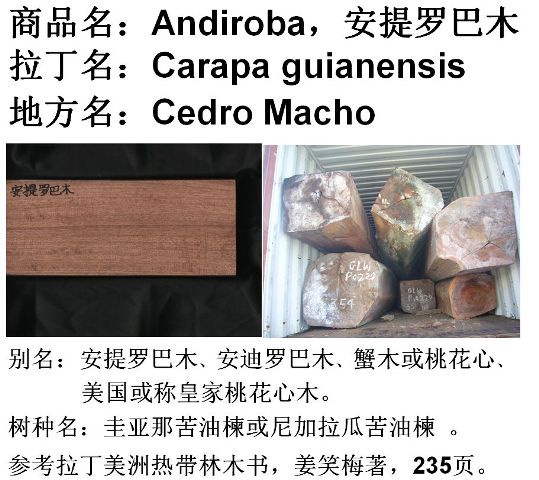 �灆�ǿ���鬵�Ԕ��(x��)��B