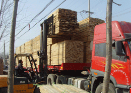 ��ľ��Ԕ��(x��)��B