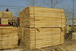 �״�ľ��Ԕ��(x��)��B