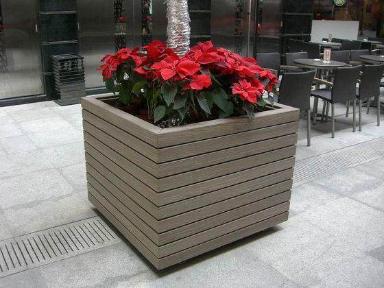 ����ľ�I(y��)��Ԕ����B