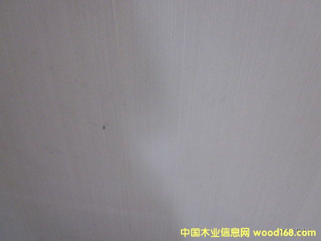 ���y��ľ10