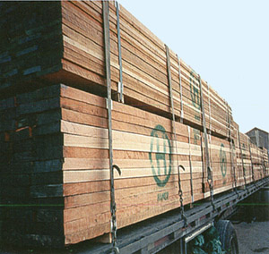 �����t������Ԕ����B