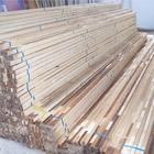 ľ���ǵ�Ԕ����B