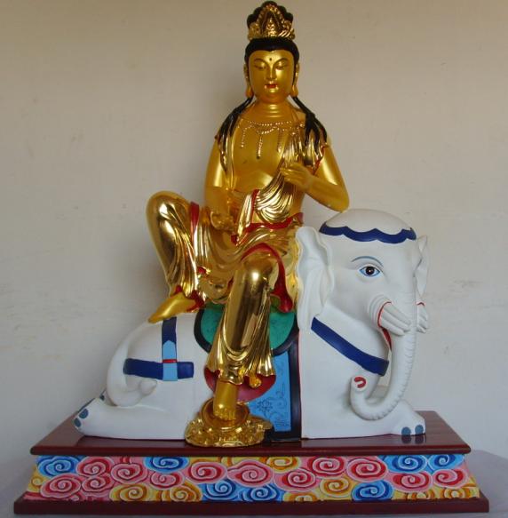 ���t���_��Ԕ��(x��)��B