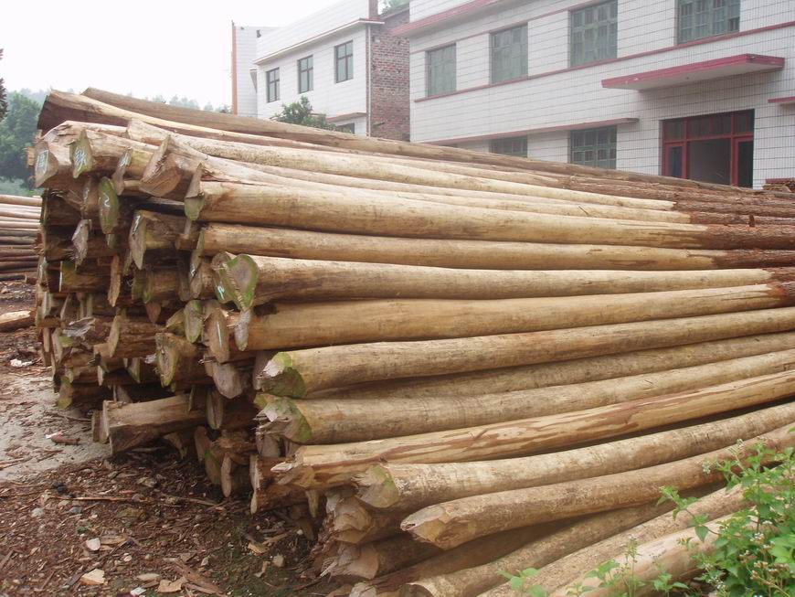 ɼľ��Ԕ����B