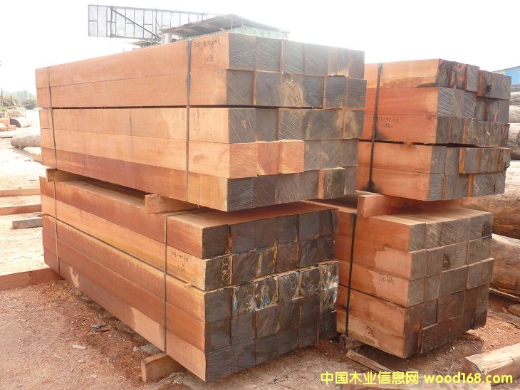 ɽ����ͤ���ϵ�Ԕ��(x��)��B