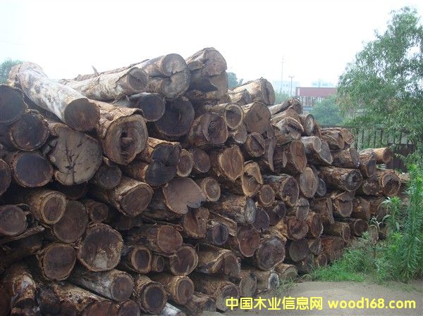 С�u���Ԕ��(x��)��B