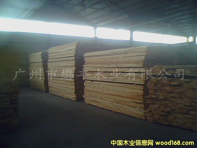 ���_˹�M(j��n)�������ɺ�ɰ�ĵ�Ԕ��(x��)��B