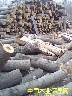 ��ľ�ΰ��Ԕ��(x��)��B