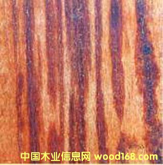 ���ľ�v�Kľ������ľ��