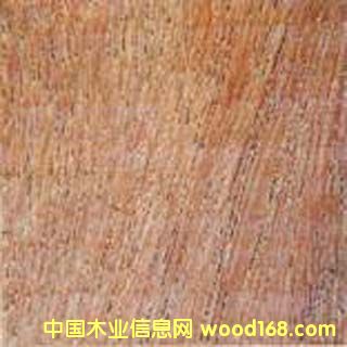 ƽ������l(w��i)ì������ľ��