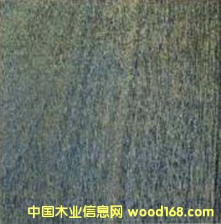 �X�~ρľ����̴����ؐ��