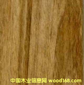 ��ľ����ᣨ������棩