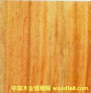 �������ľ����̴��