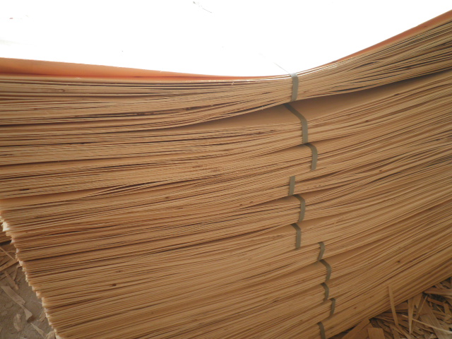 ��ľ�ΰ��Ԕ��(x��)��B