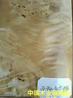 �ח�����Ԕ����B