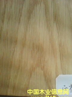 ����ɽ�y��Ԕ����B