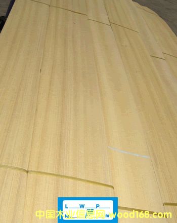 ��z��ľƤ��Ԕ��(x��)��B