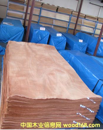 ����ľƤ��Ԕ��(x��)��B