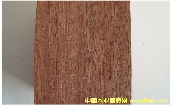 �c���鿴�R����������ľ�Ŵ�DƬ