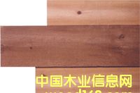 �c���鿴�����tѩ�ɷŴ�DƬ