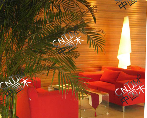 ���B(t��i)ľ�G��ľ195���L(zh��ng)��Ҏ(gu��)��