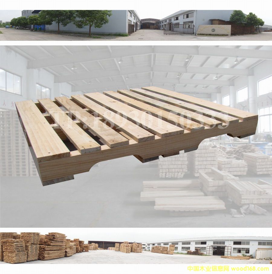 ���ڌ�ľ�бP��Ԕ����B