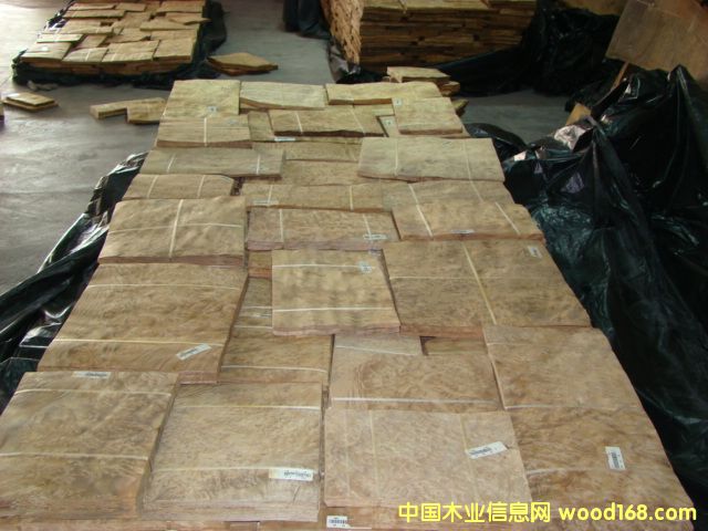 ɽ�����(sh��)���Ԕ��(x��)��B