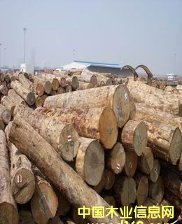 ����ݗ����ԭľ��Ԕ��(x��)��B