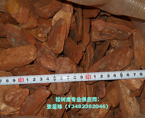 �c���鿴�ɘ�Ƥ���^�ر����w��ĥ�ͷŴ�DƬ