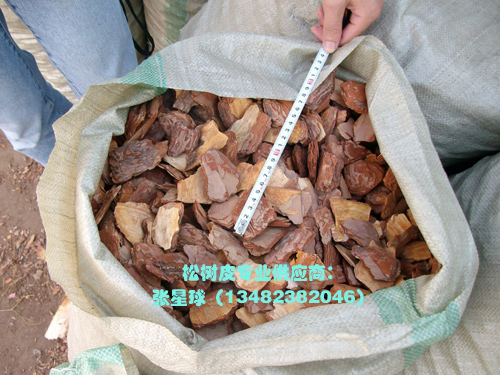 �c���鿴���^�ر����w������ͷŴ�DƬ