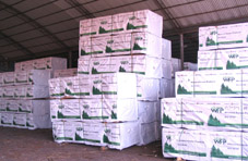 ���ô��Fɼ��Ԕ��(x��)��B