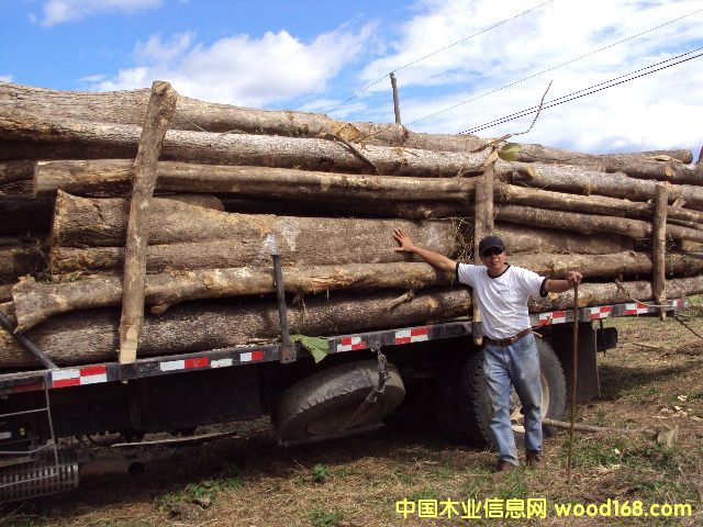 ��˹�_(d��)�����ľ