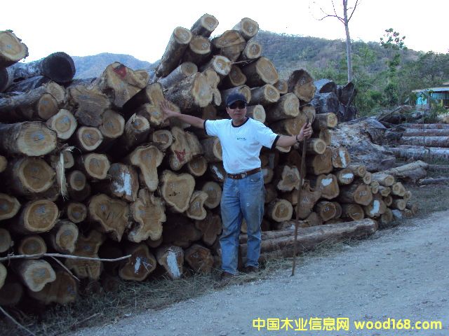 ��ľ��Ԕ��(x��)��B