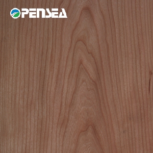 ����ľƤ��Ԕ����B