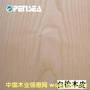 ��˨ľƤ��Ԕ����B